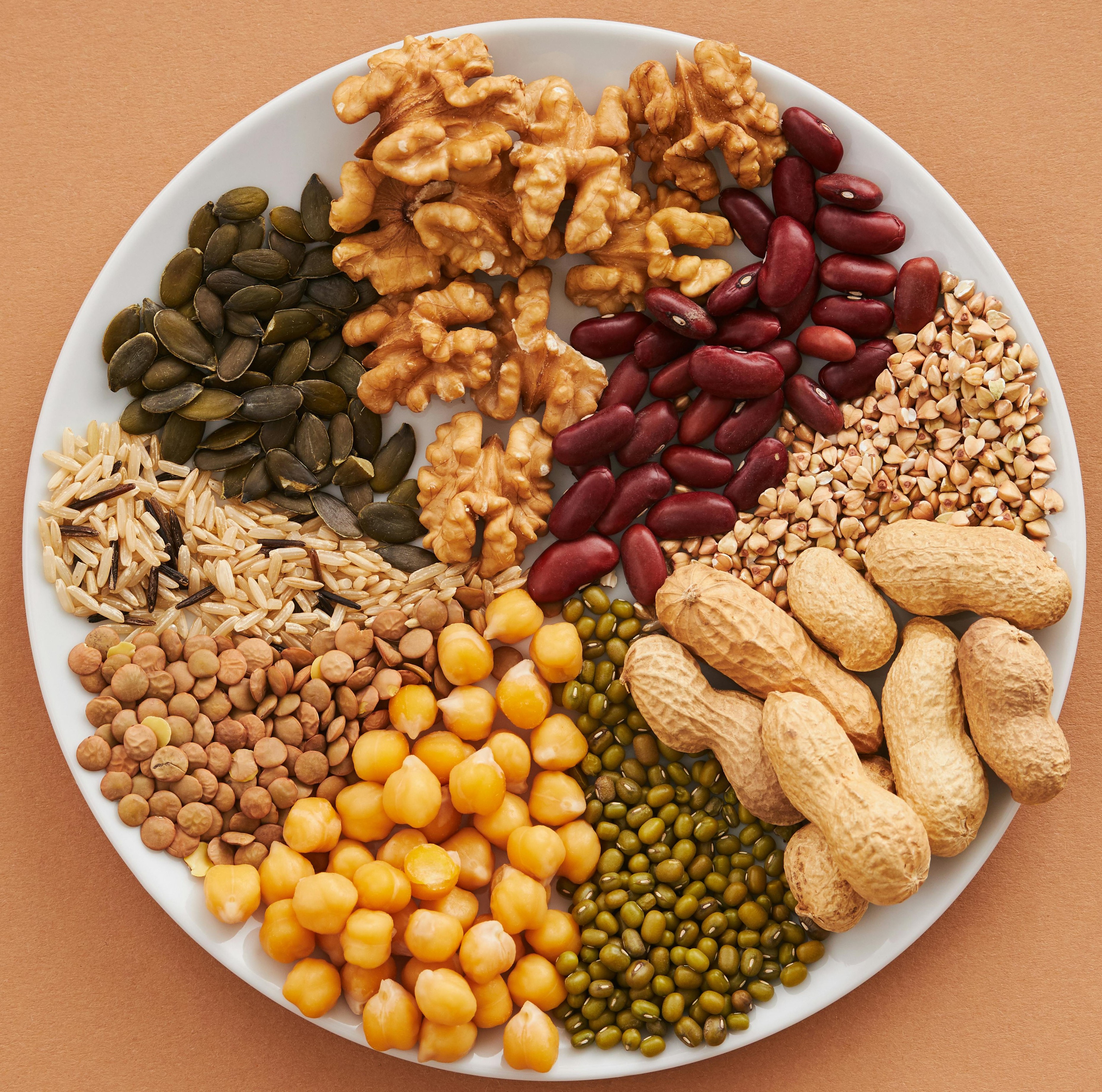 Aadhiyan Corp - Protein Foods